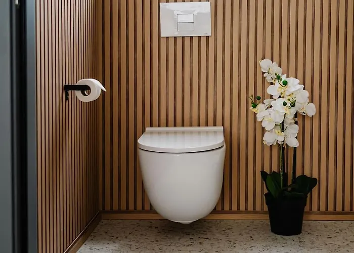 Mainstreet Luxury 3 Apartment